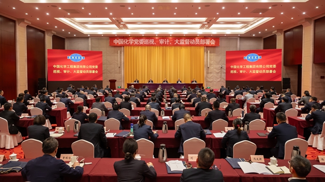 中國化學(xué)黨委召開巡視、審計、大監(jiān)督動員部署會