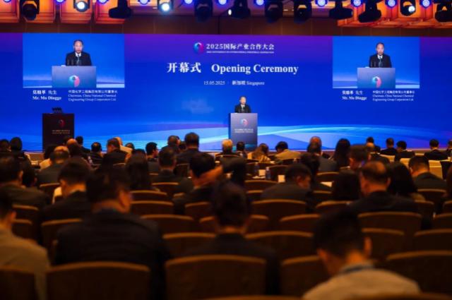 莫鼎革受邀出席新加坡產(chǎn)業(yè)合作大會開幕式并致辭